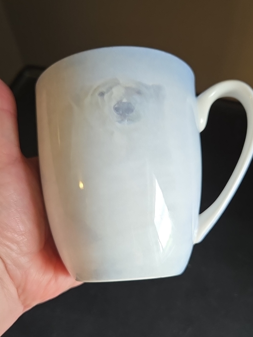 Robert Bateman White Encounter Polar Bear Accent Mug